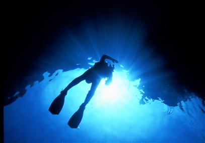 Pt Lobos Diver Pt Lobos Diver